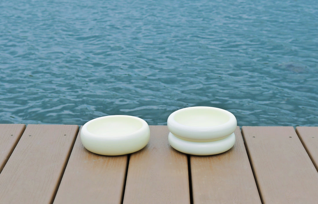 The Evolution of Modern Cat Bowls: Exploring Design and Innovation