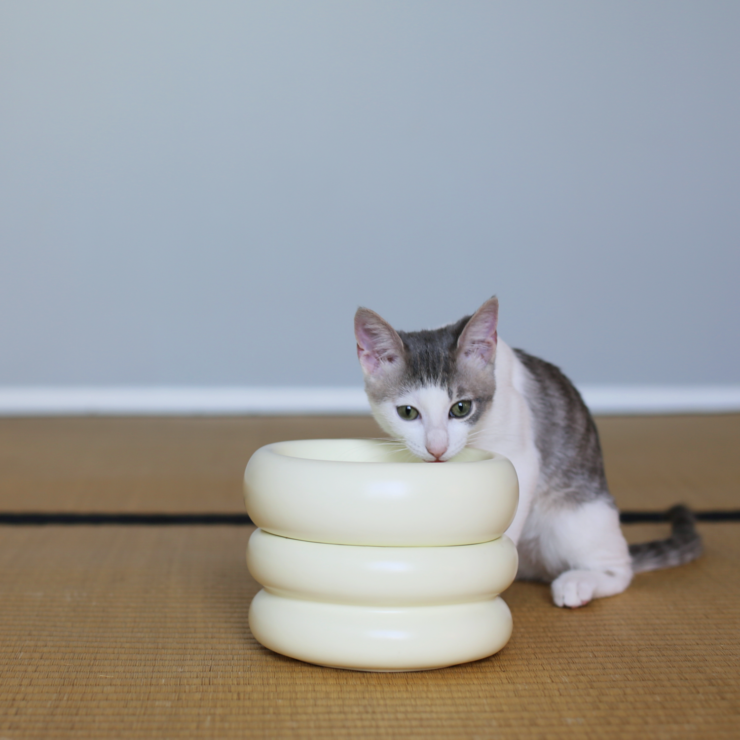 best elevated cat bowl because of stacking modern cat bowl feature in white ceramic with grey and white cat eating from tatami mat by catenary that is elevated to be anti-vomiting bowls and prevent whisker fatigue