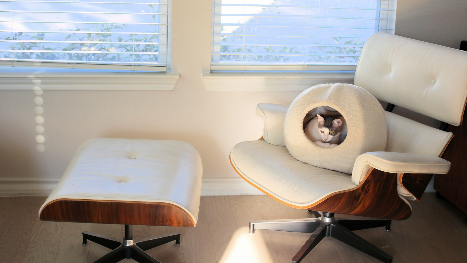 modern cat bed and cat cave that is a luxury cat cave on an eames lounge chair in modern living room with grey and white cat inside
