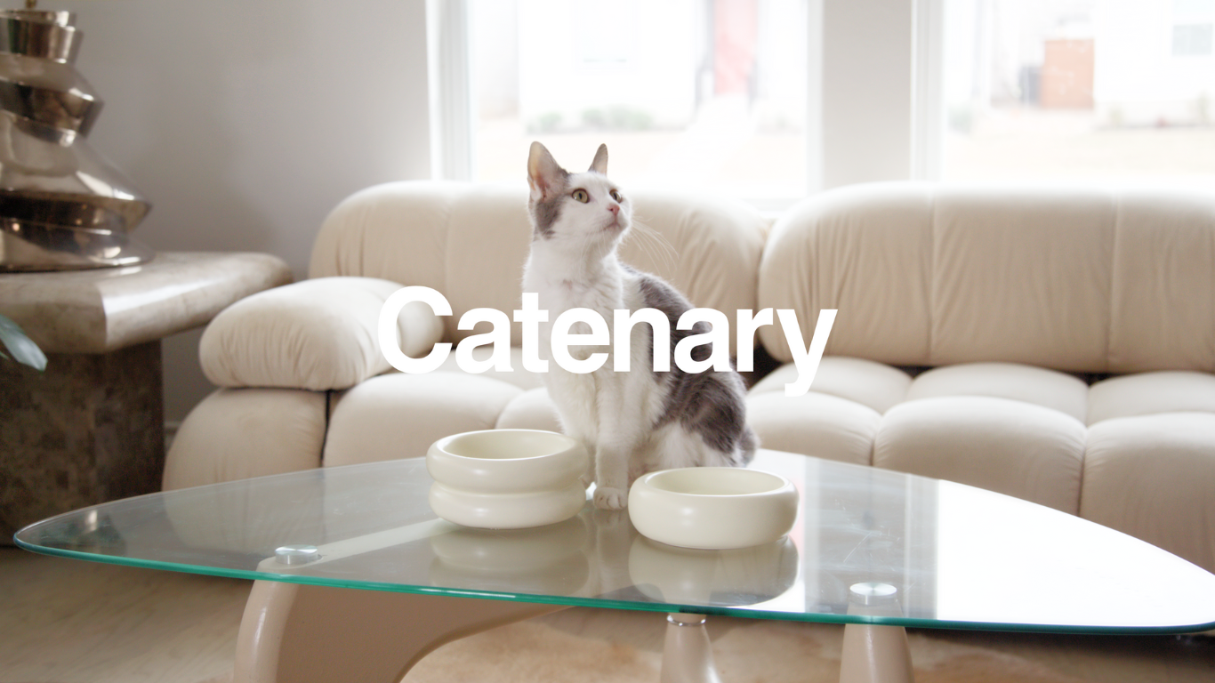 catenary home logo over grey and white cat with modern elevated cat bowl in modern living room with camaleonda couch and modern cat furniture