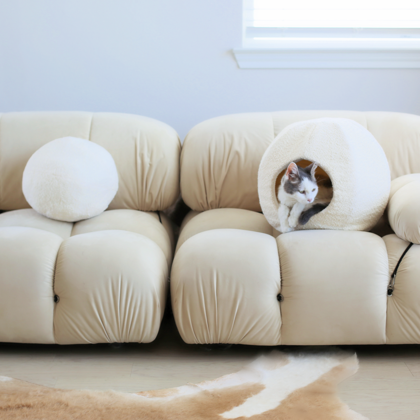 moon cat cave bed best cat bed cave with matching boucle round sphere cushion pillow on camaleonda mario bellini couch living room by catenary home is like a cat igloo, cat nest and cat hideaway all in one