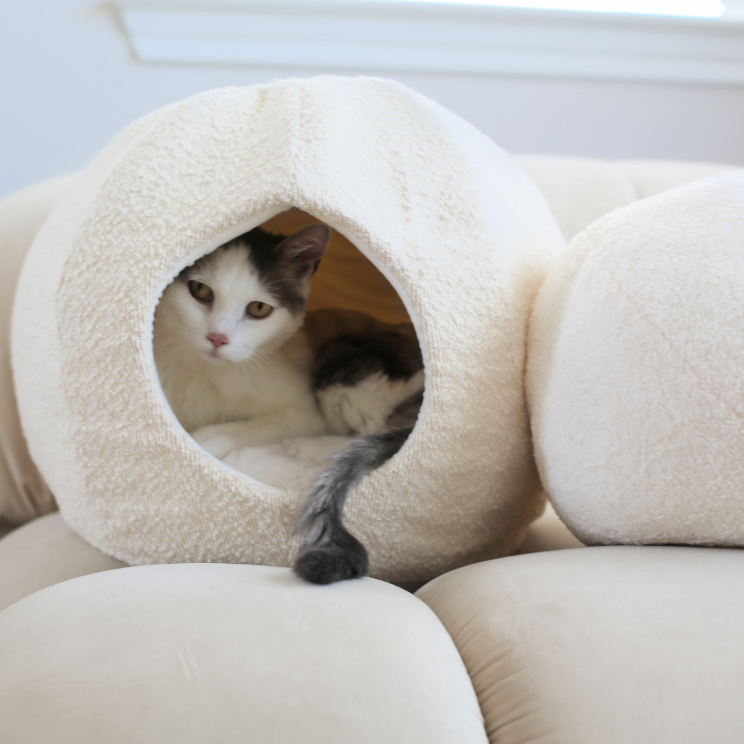 moon cat cave by catenary home with grey and white cat inside, this enclosed cat bed is made of boucle and foam by modern cat furniture company catenary