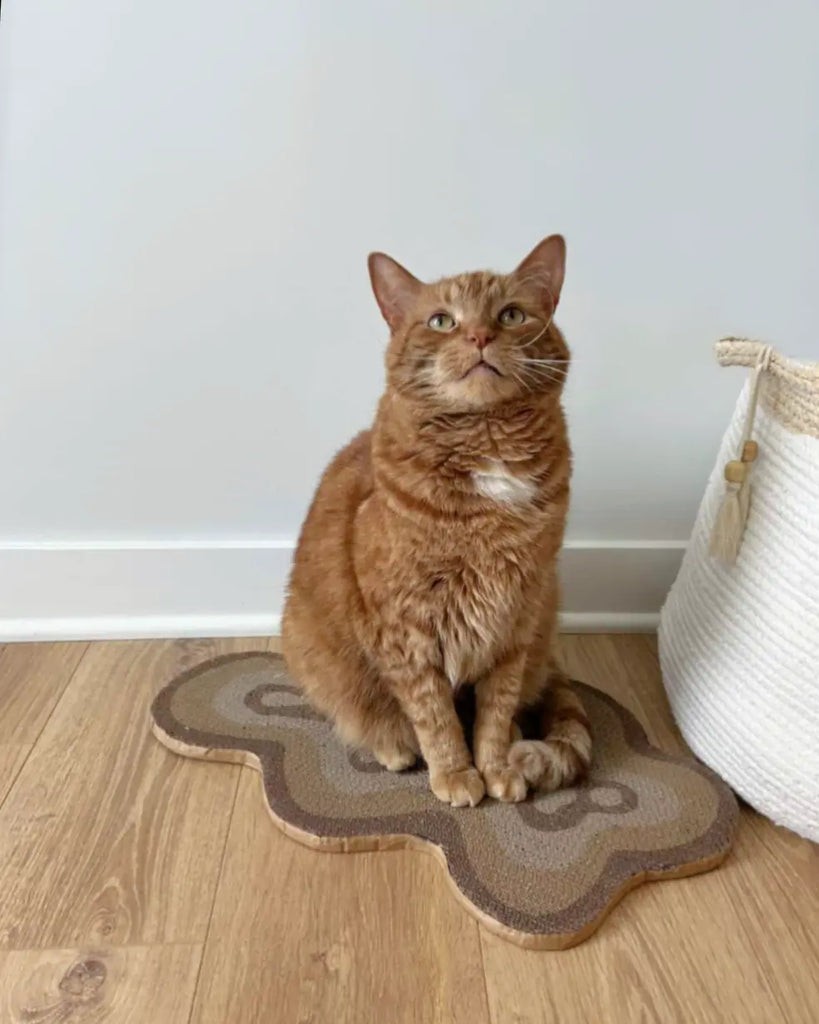 Can Cat Scratch Pads Protect Your Furniture?