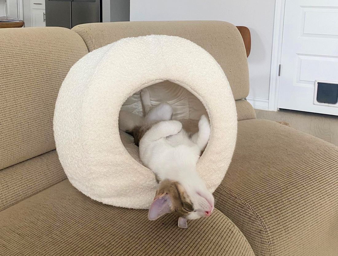 Cat Caves: The Best Cat Bed Choice for Better Sleep