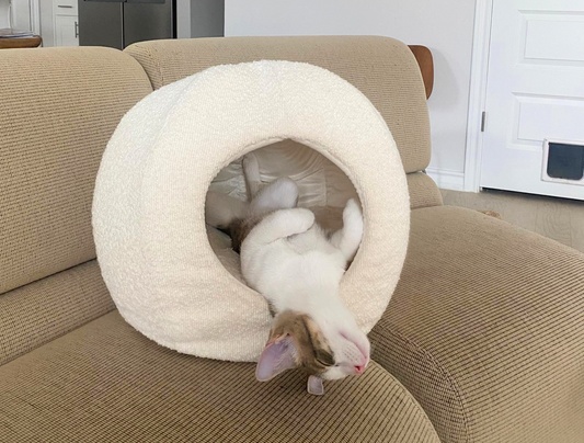 modern cat cave with cat sleeping upside down 