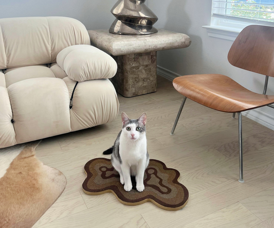 grey and white cat standing on modern cat scratcher surrounded by modern cat furniture by catenary in living room