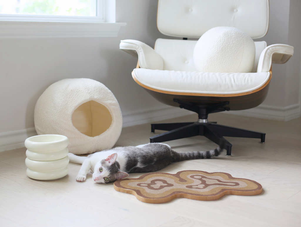 modern cat furniture with grey and white cat in minimalist modern home with eames chair by catenary home