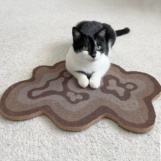 Stop Your Cat from Scratching Your Carpets and Rugs Today