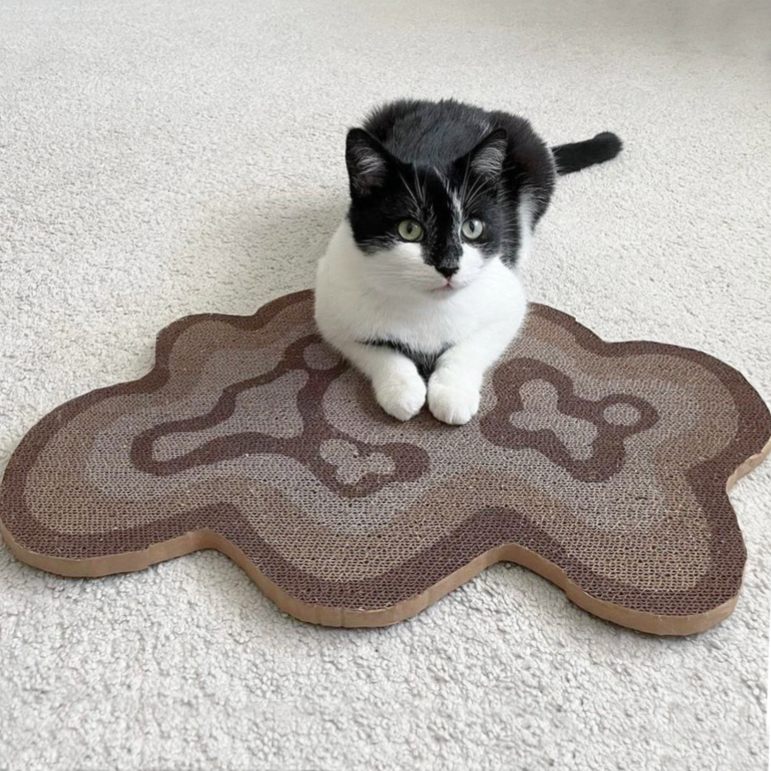 Stop Your Cat from Scratching Your Carpets and Rugs Today Catenary Home