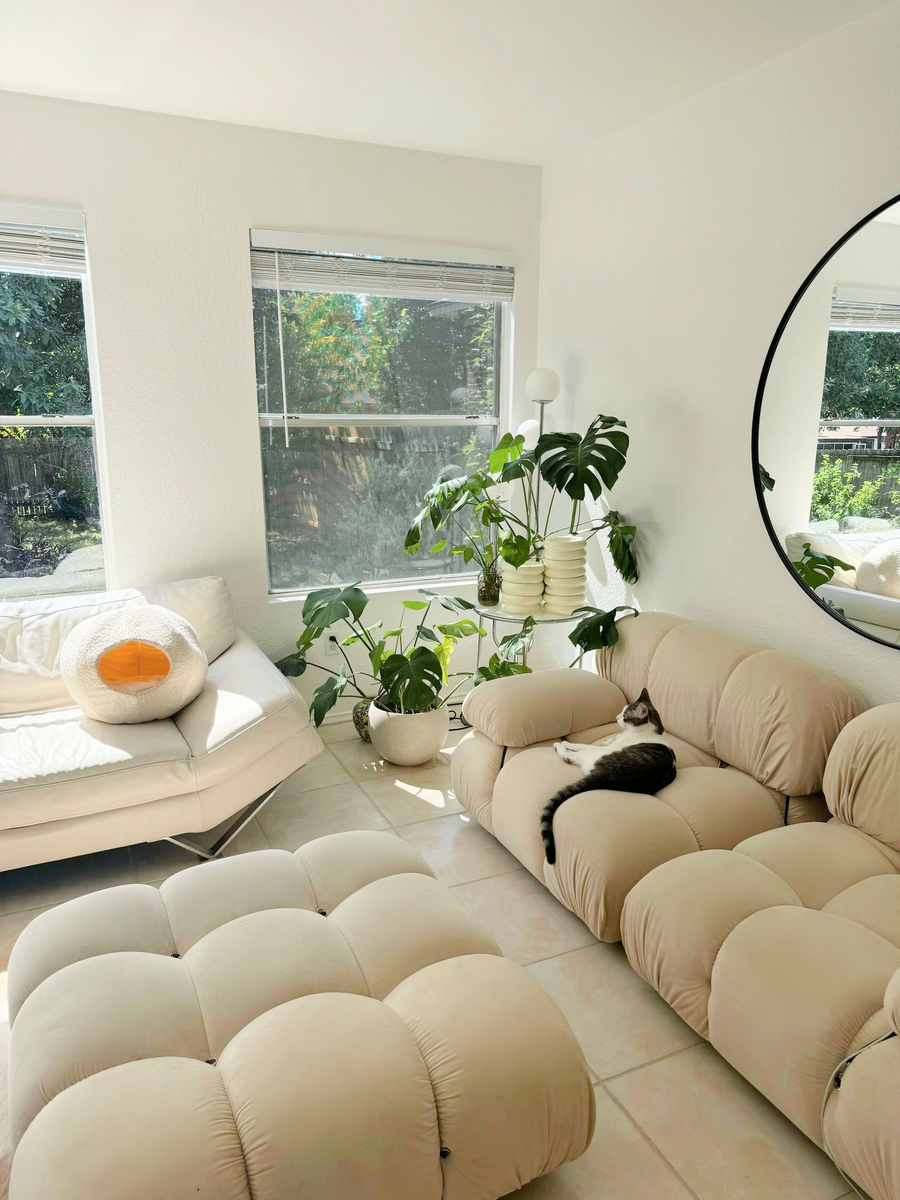 How to Create a Harmonious Home with Cats: A Design-Forward Guide ...