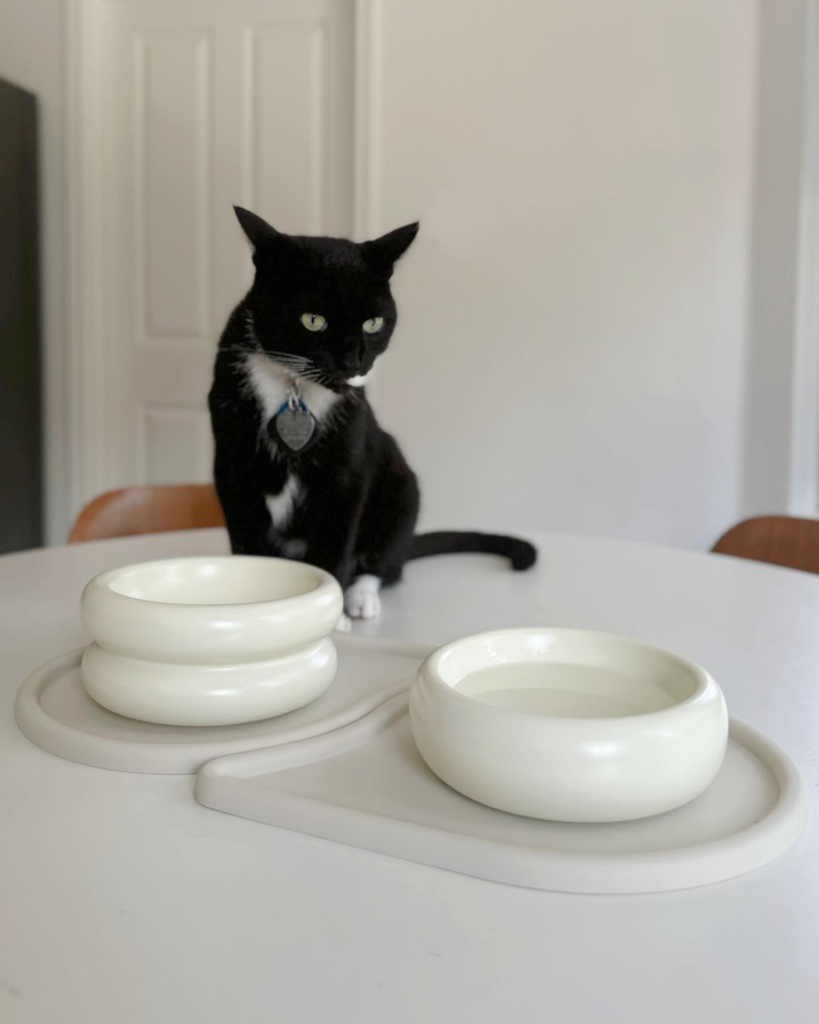 What Material is Best for a Cat Food Bowl?