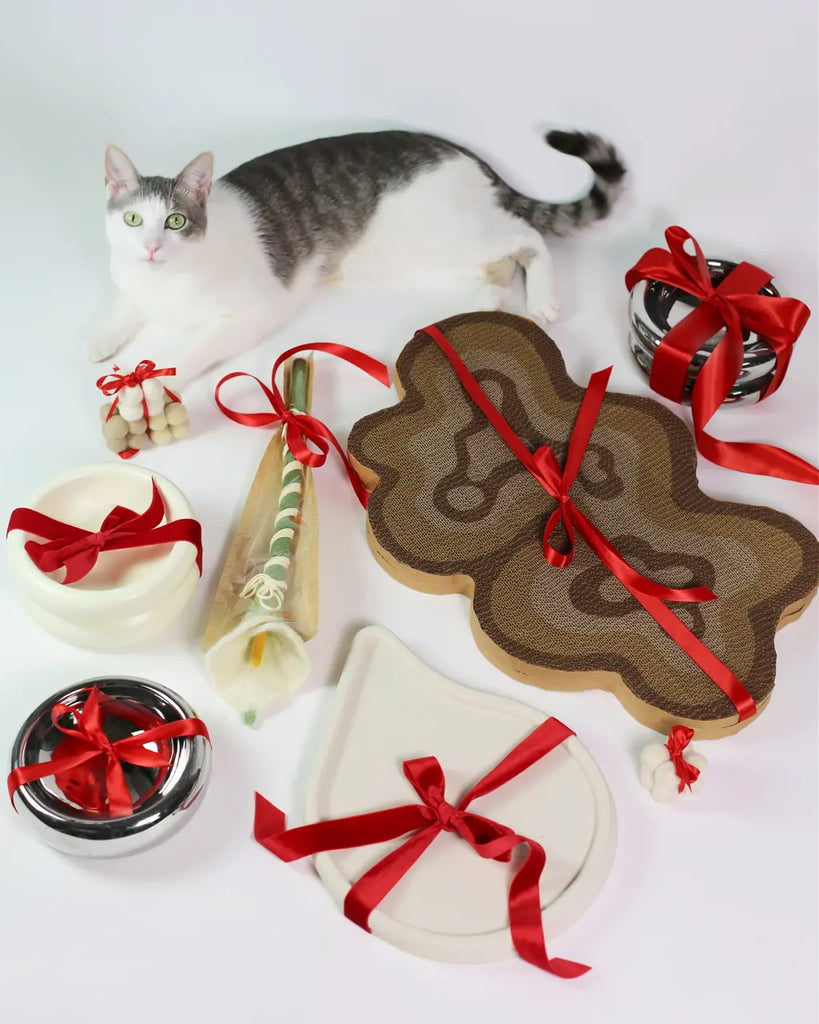 How to Select the Perfect Gifts for Cat Owners?