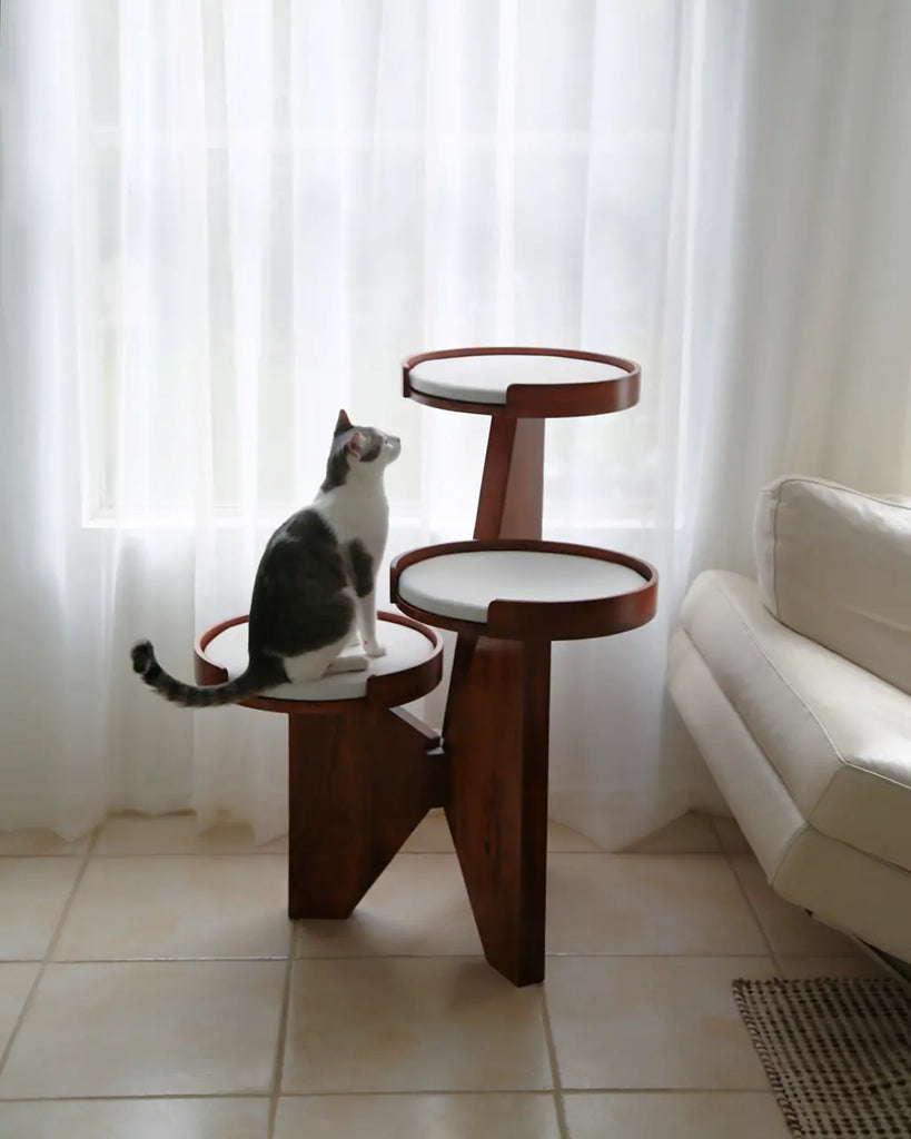 Why Is Cat Furniture Essential for Indoor Cats?