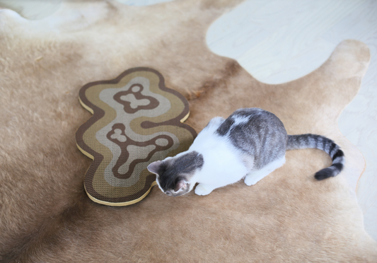 grey and white cat on corrugated cardboard cat scratcher pad in living room on cowhide rug