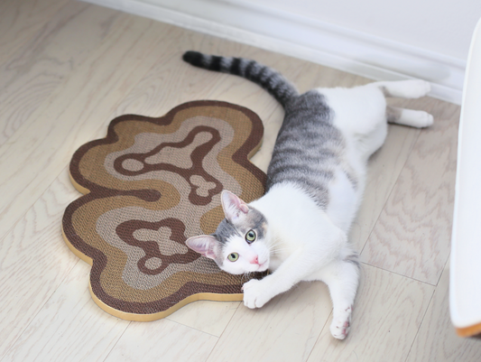 Introducing 'Bloom': Catenary's Stylish New Cat Scratcher Redefines Home Decor