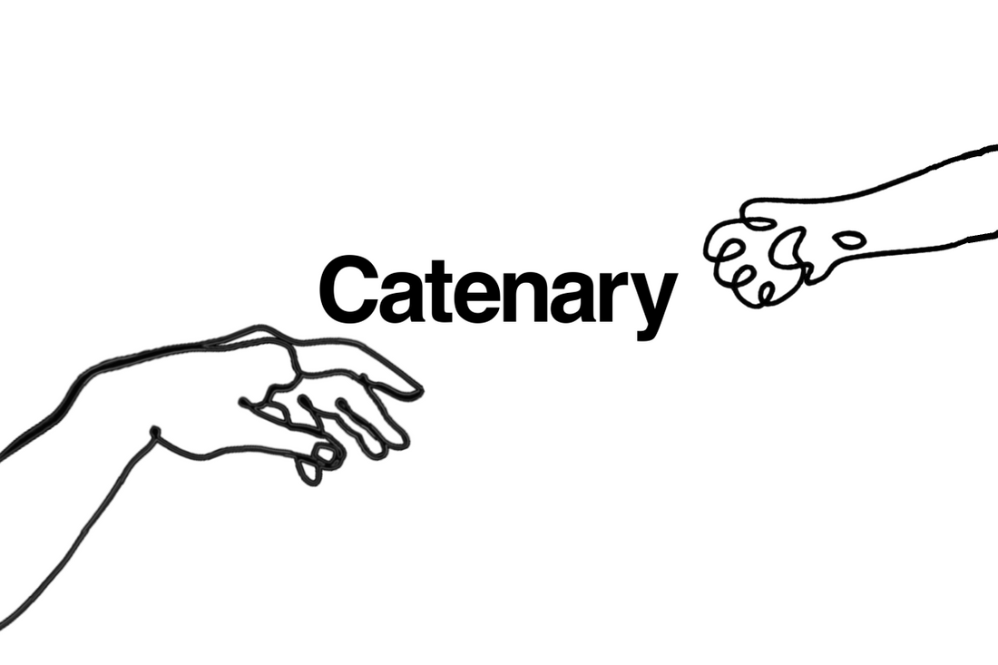 The Catenary Launch: Elevating Feline Living Spaces with Modern Cat Furniture