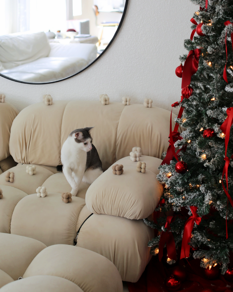 How to Keep Cats Away From the Christmas Tree