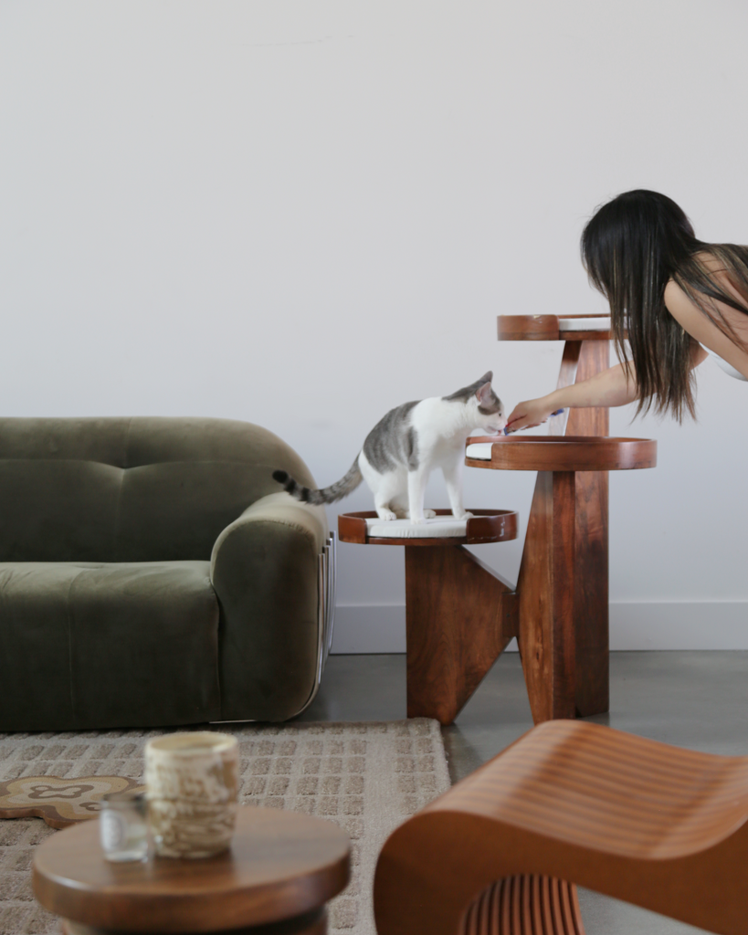 How to Protect Your Home from Cat Damage Without Sacrificing Style