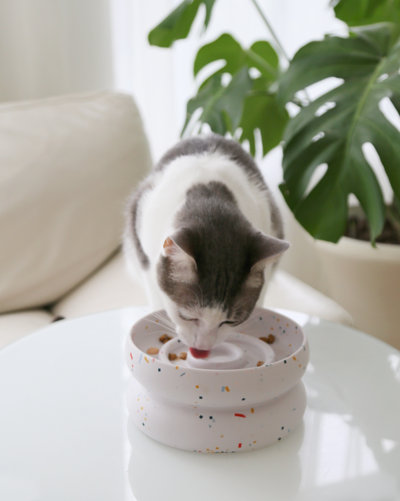 Cat Bowls for Slow Eating: What to Look For (And What to Avoid)