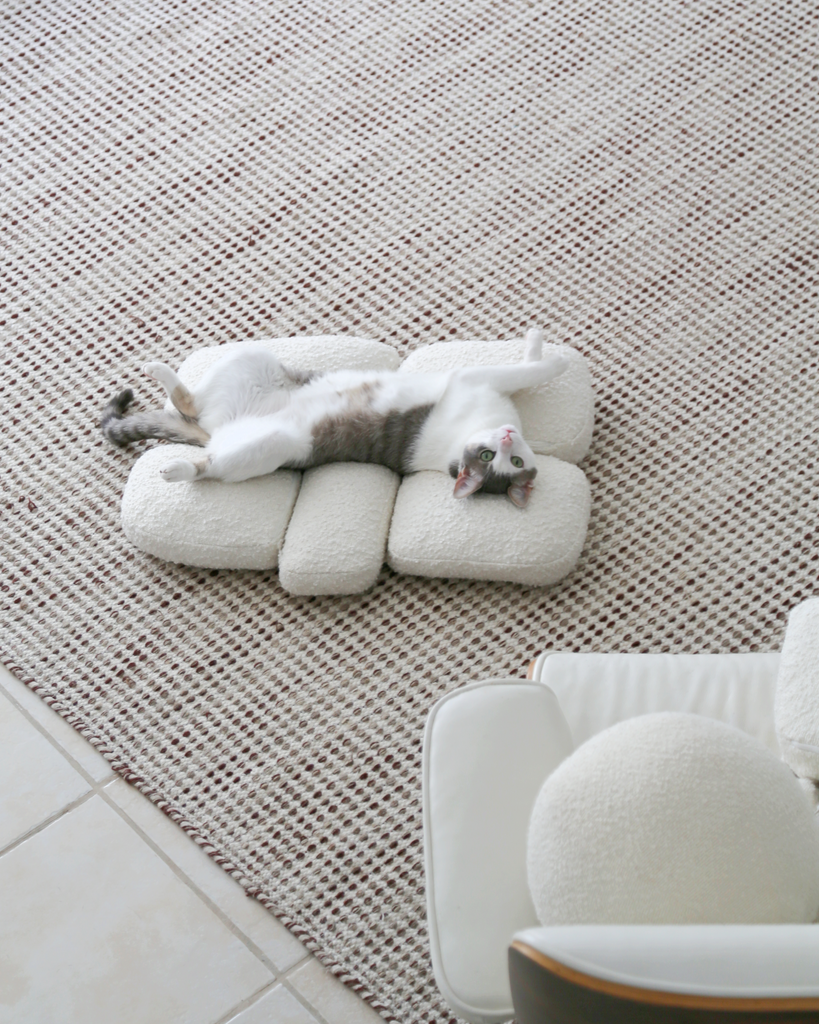 The Best and Worst Fabrics for Cat Owners: A Practical Guide to Cat-Friendly Upholstery