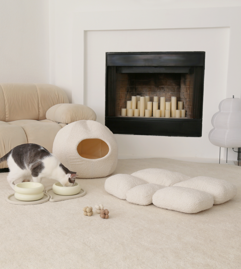 5 Cat Home Hacks You Didn’t Know