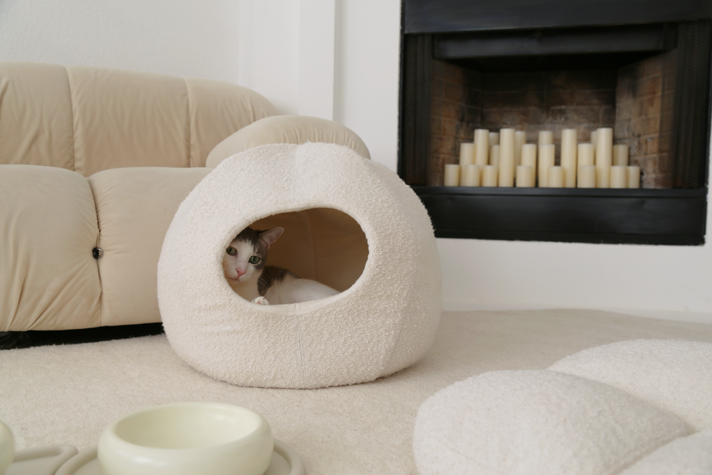 5 Tips for a Beautiful Home With Cats—Without the Destruction