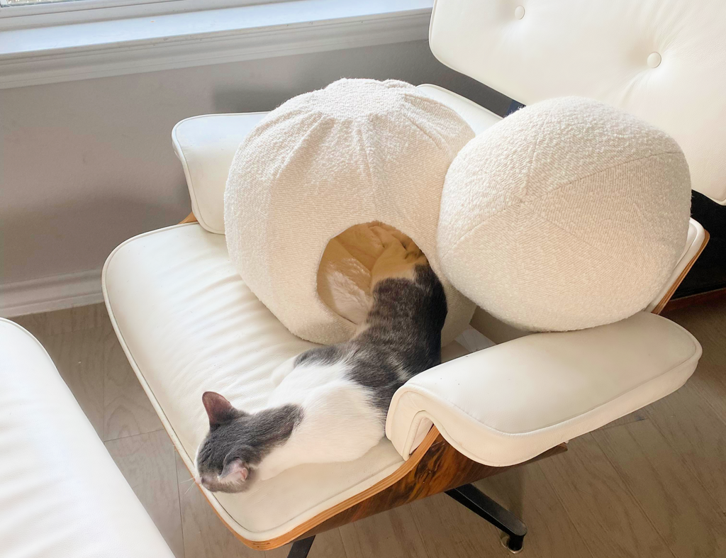 modern cat cave with matching boucle round pillow on eames chair with cat