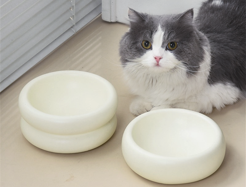 cat with white ceramic modern cat bowls that prevent whisker fatigue