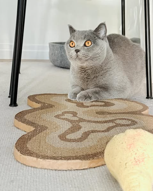 How to Stop Cats from Scratching the Couch Without Sacrificing Style
