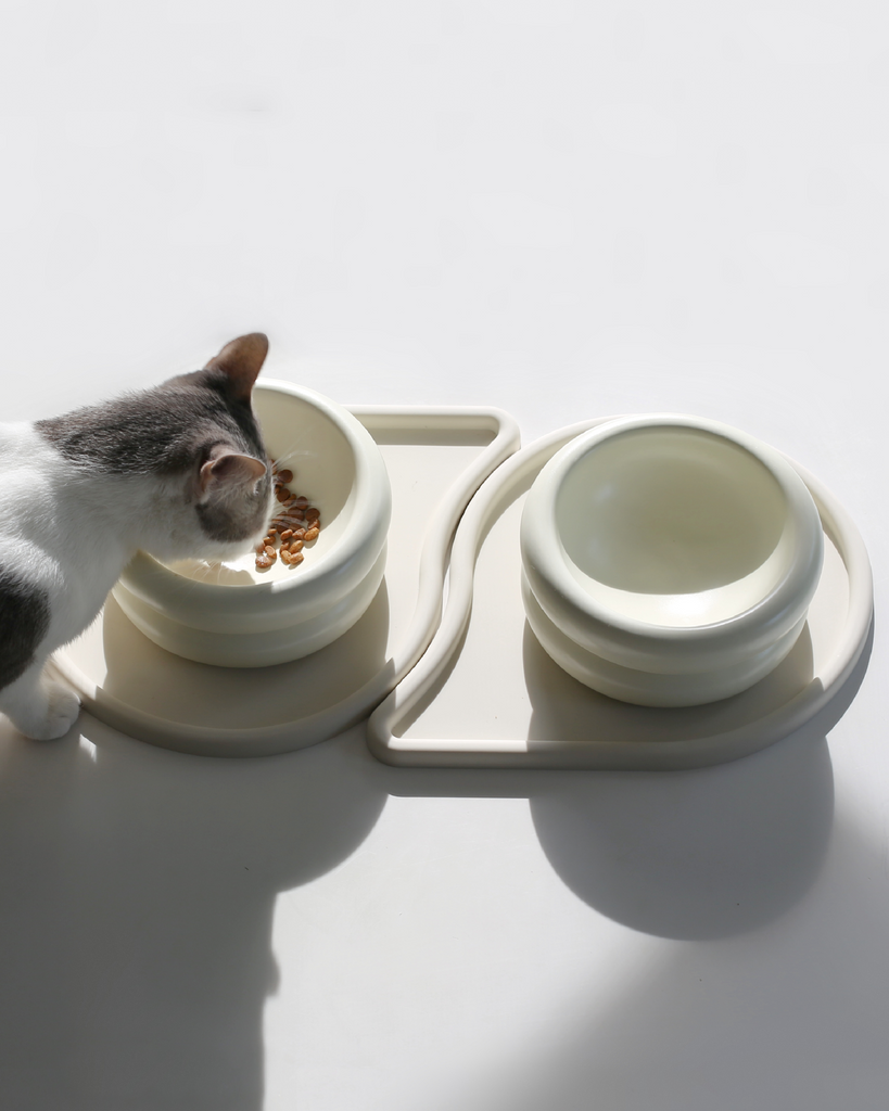 9 Pet Mats That Solve Common Household Challenges