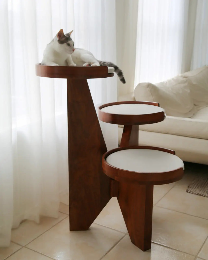 Why Cat Trees Are Essential for Your Feline Friend