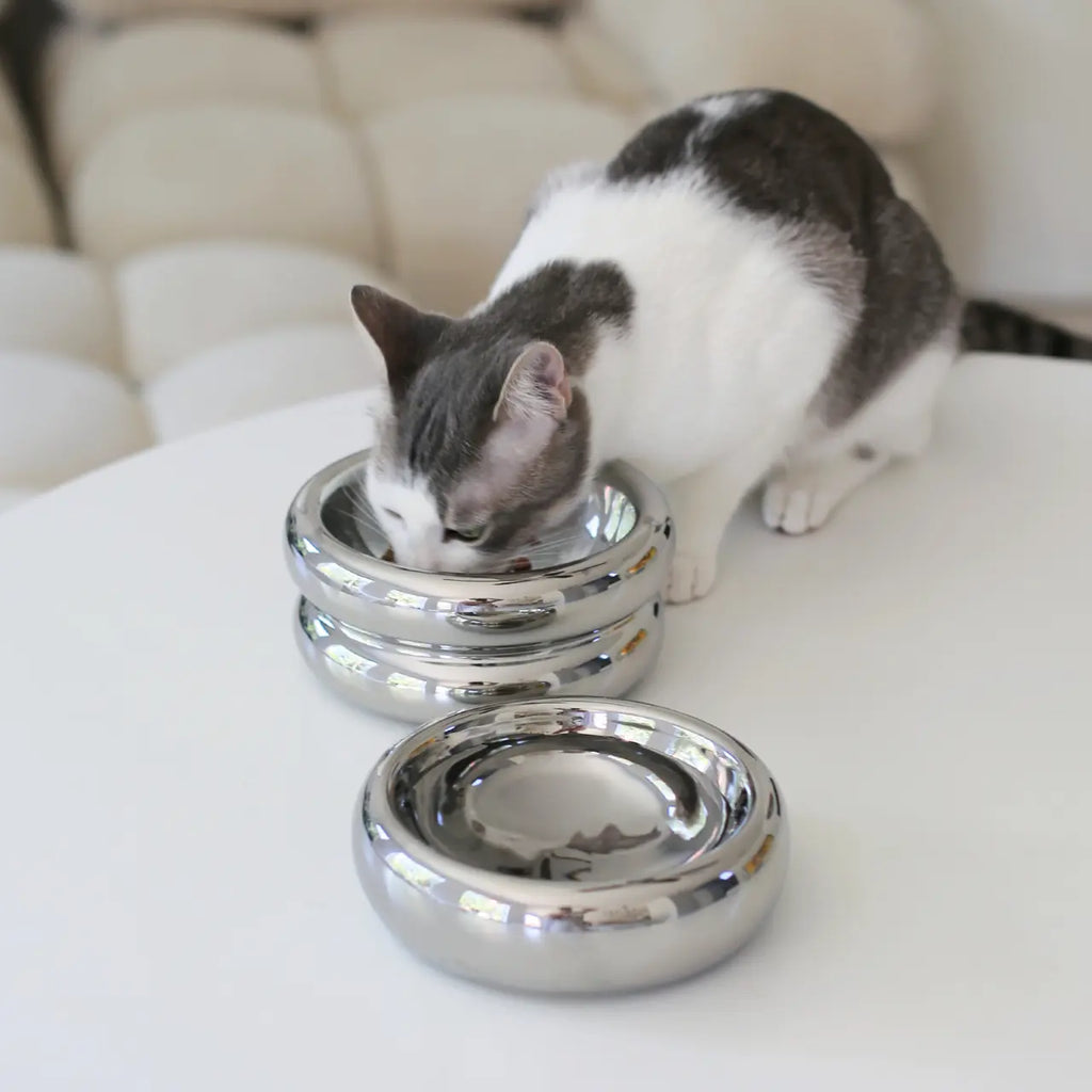 10 Reasons Elevated Cat Bowls are a Must-Have for Stylish Cat Owners