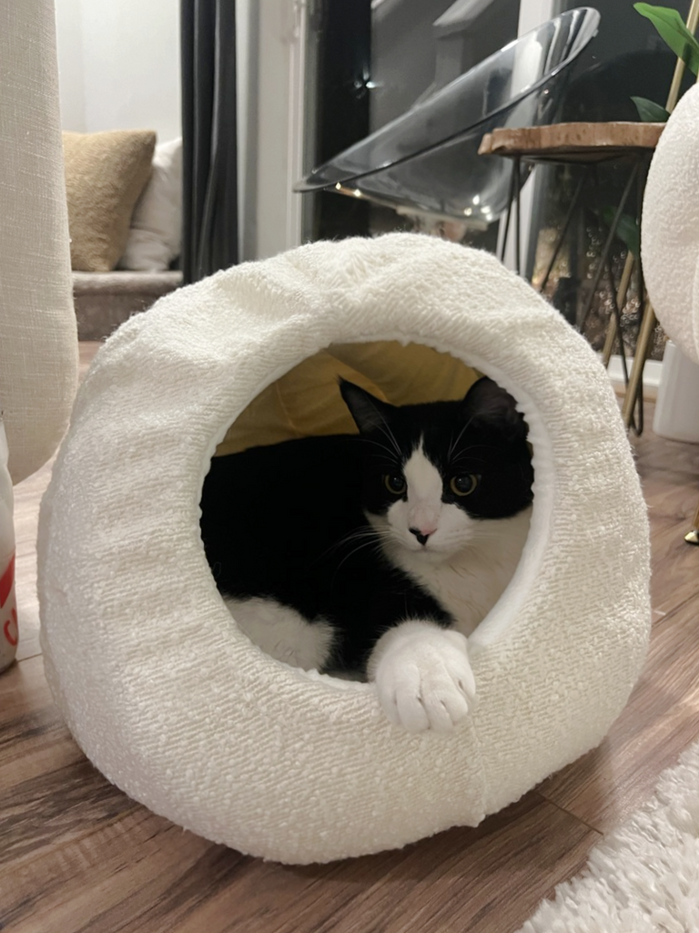 10 Chic Cat Caves That Blend Seamlessly with Your Home Decor