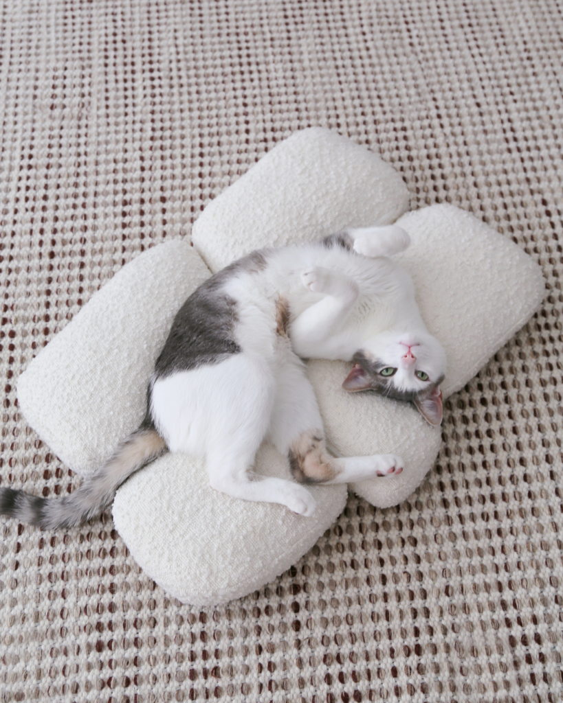 Best Cat-Resistant Fabrics for a Stylish and Scratch-Resilient Home