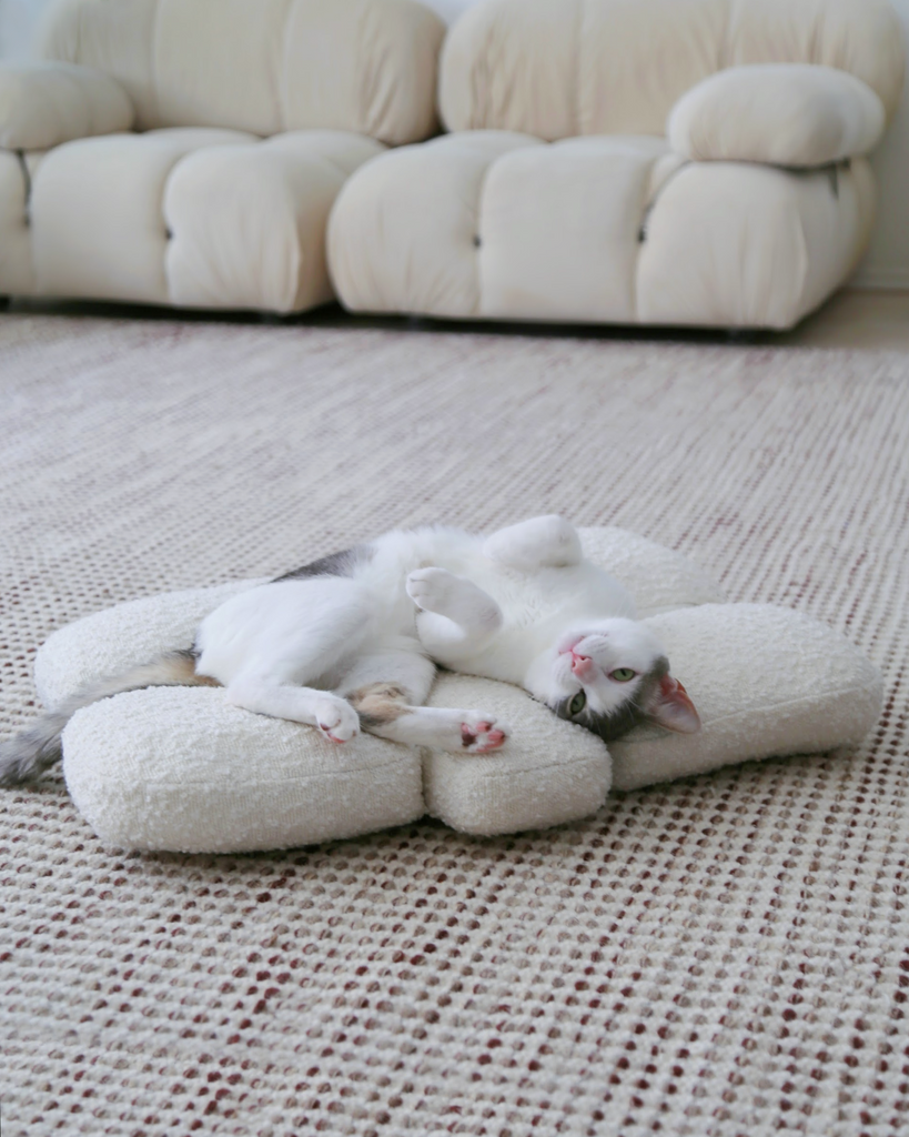The Best and Worst Fabrics for Cat Owners: A Practical Guide to Cat-Friendly Upholstery