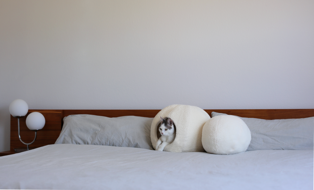cat bed cave or cat igloo in white boucle that is a luxury cat bed on a bed with grey and white cat in modern aesthetic