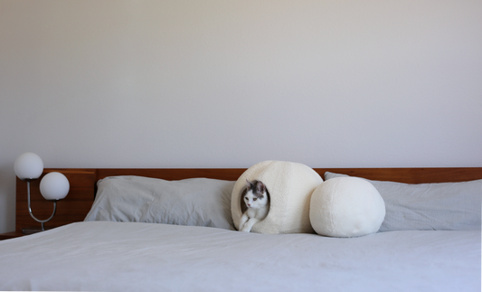 luxury cat bed cave or cat igloo in white boucle that is a luxury cat bed on a bed with grey and white cat in modern aesthetic