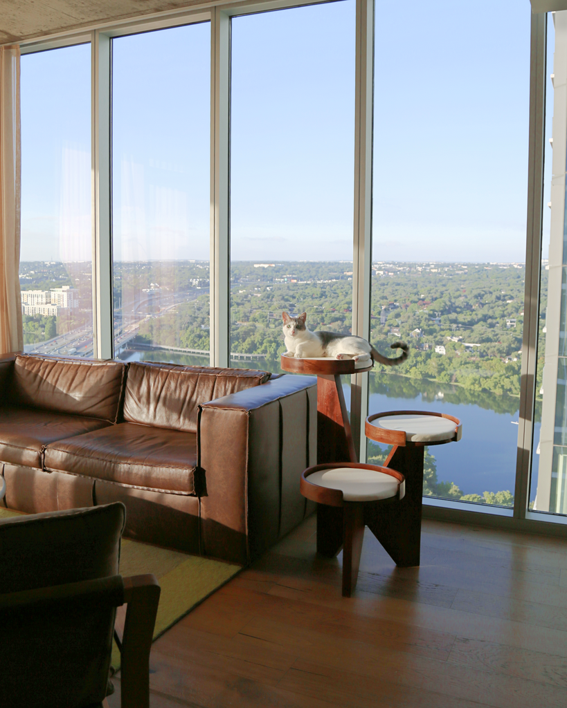 How to Care for Your Sundial Cat Tree