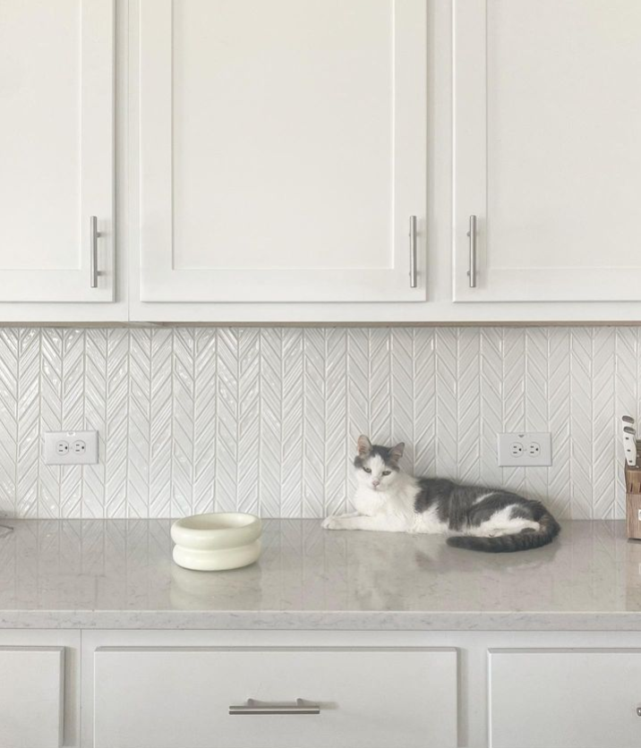 How to Keep Cats Off the Kitchen Counters