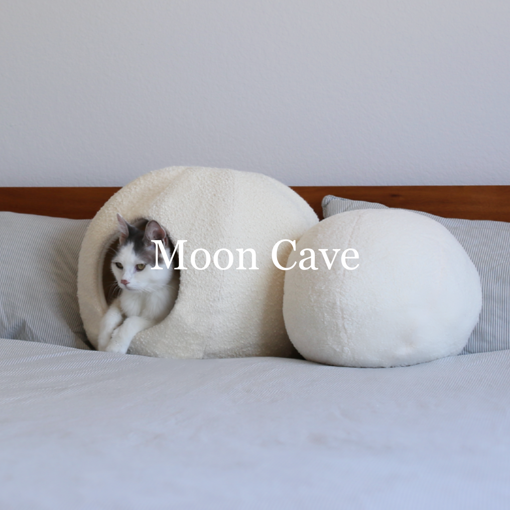 best cat cave called moon cat cave by catenary with cat inside placed on modern  bed