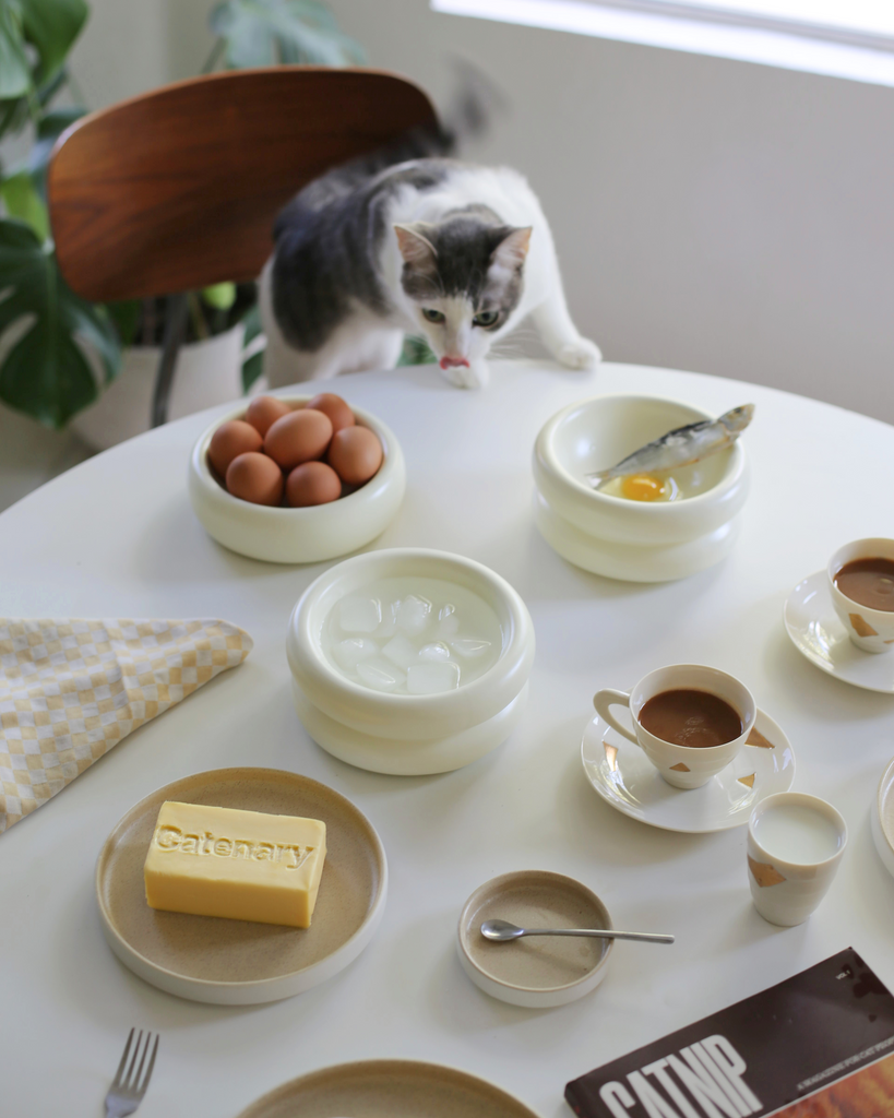 Stylish table setting featuring Catenary Home's aesthetic cat furniture, with a curious cat inspecting the best modern elevated cat bowls. The scene blends minimalistic design, modern cat furniture, and chic tableware, showcasing the versatility and beauty of Catenary Home's best elevated cat bowls