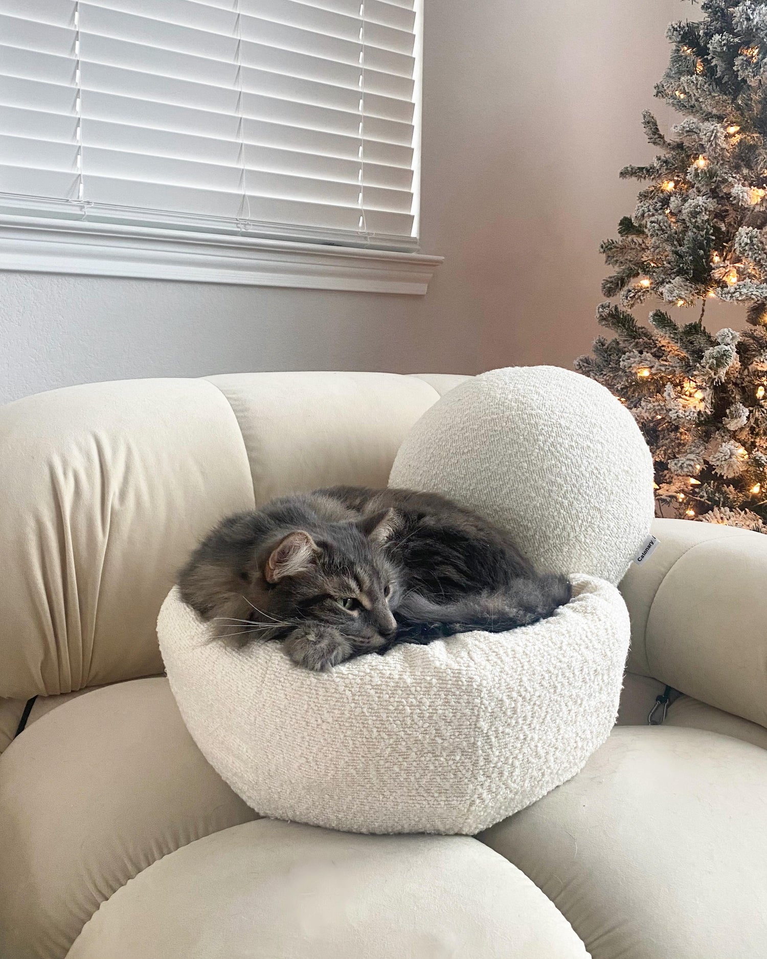 convertible cat bed cave modular design by catenary home with maine coon cat in best cat bed cave