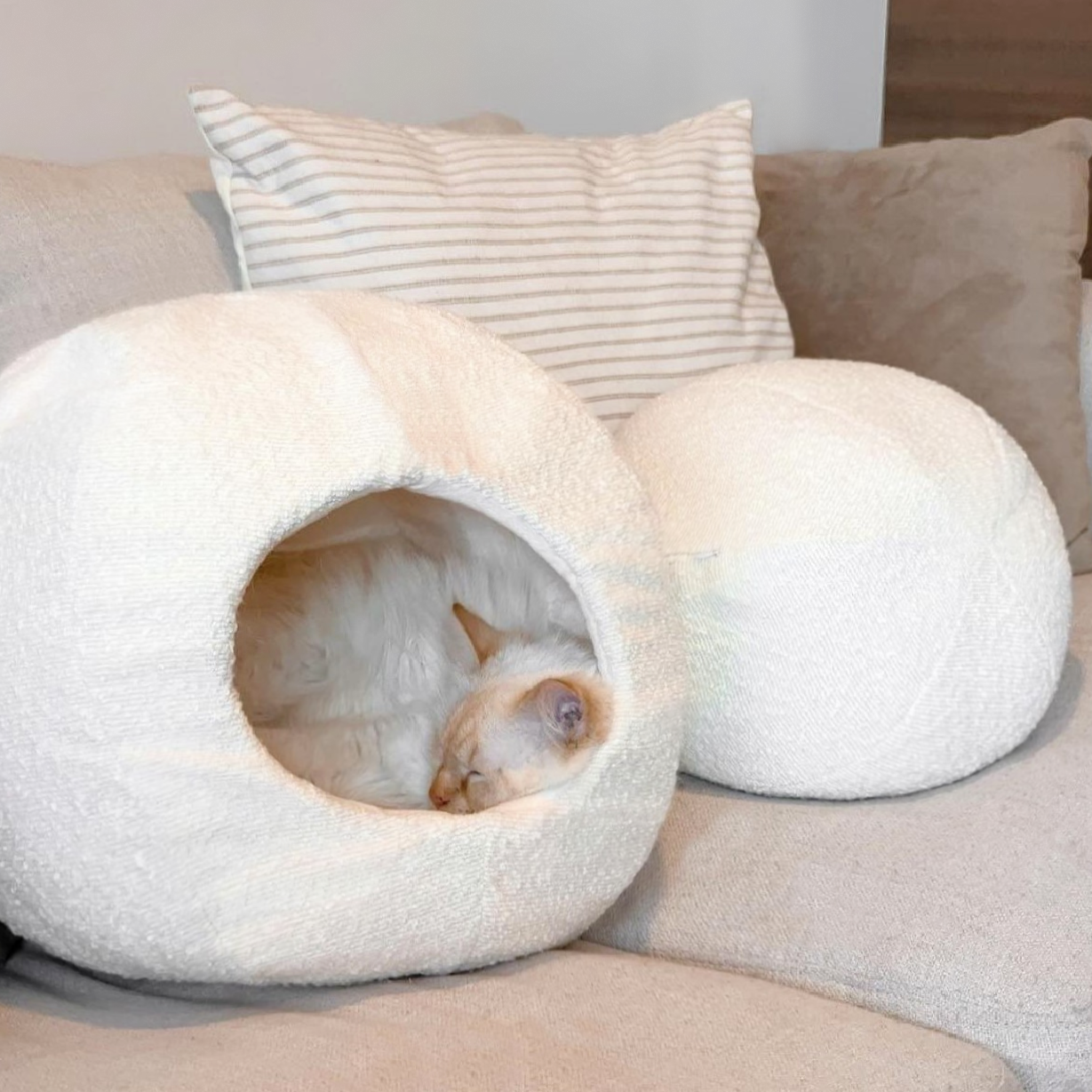 white cat sleeping in luxury cat bed cave by catenary home in neutral modern home and sofa with matching round boucle pillow covered to be a cat igloo, and enclosed cat bed, and cat hideaway all in one