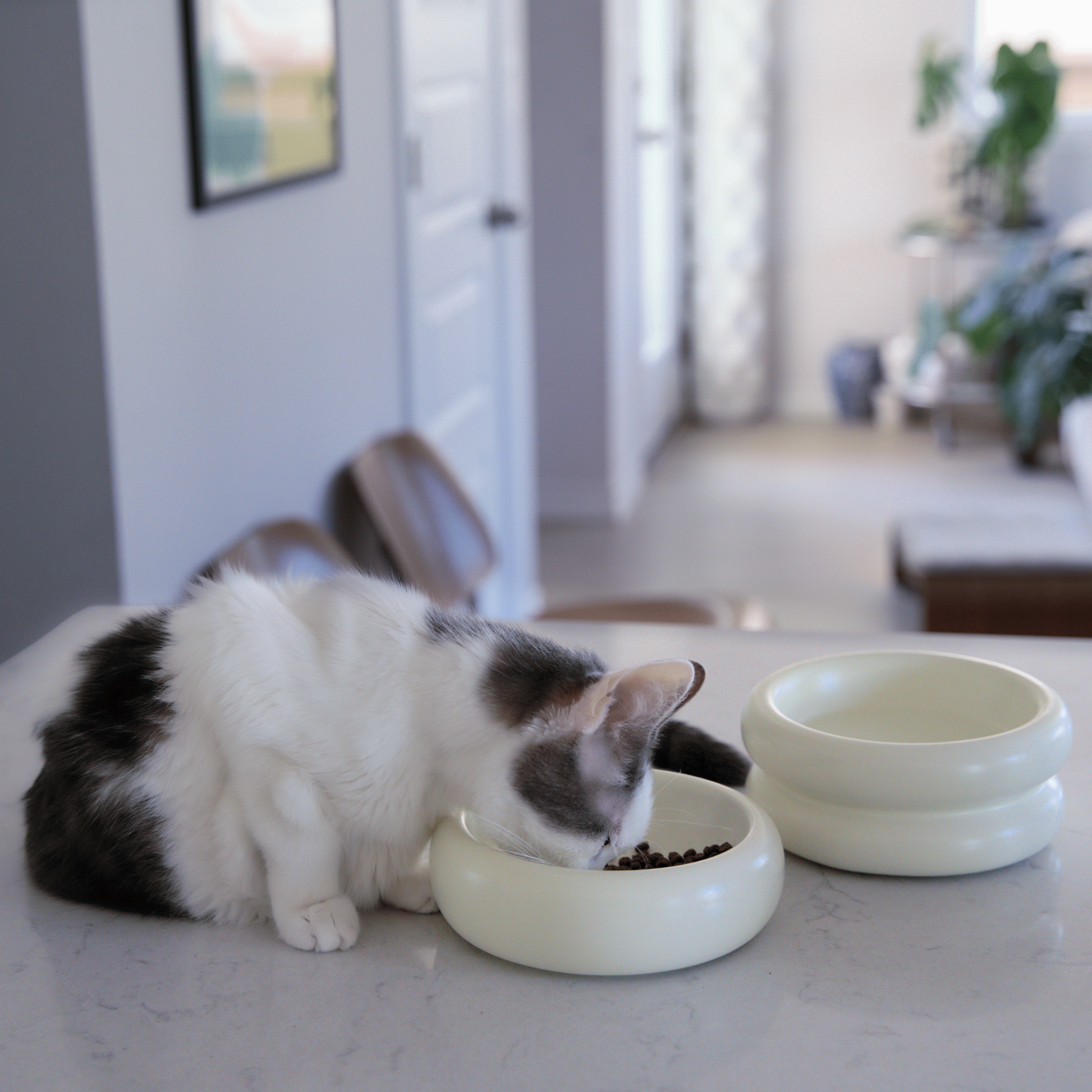 The Halo Cat Bowl Catenary Modern cat furniture for design