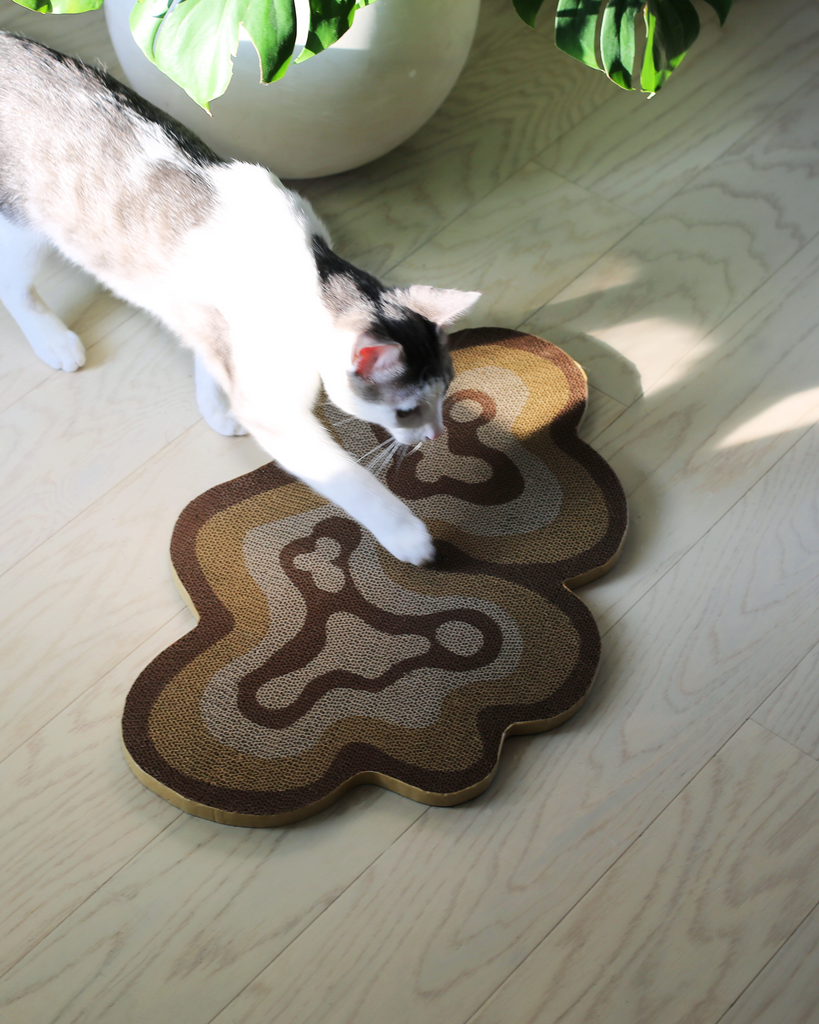 grey and white aesthetic cat with modern cat scratcher and corrugated cardboard cat scratch pad by catenary home modern cat furniture company and monstera in background of hardwood floor