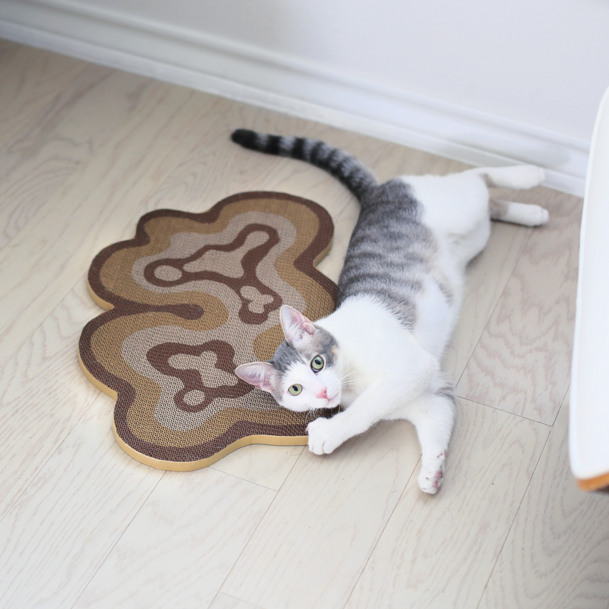 cat with catenary kitty scratching post and modern cat scratcher to prevent cats from scratching furniture that is cardboard cat scratcher