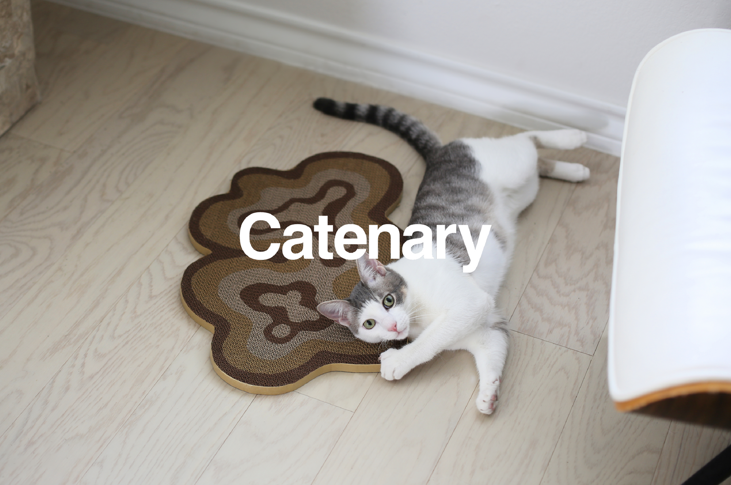 catenary logo and modern cat scratch pad with grey and white cat on floor of modern living room