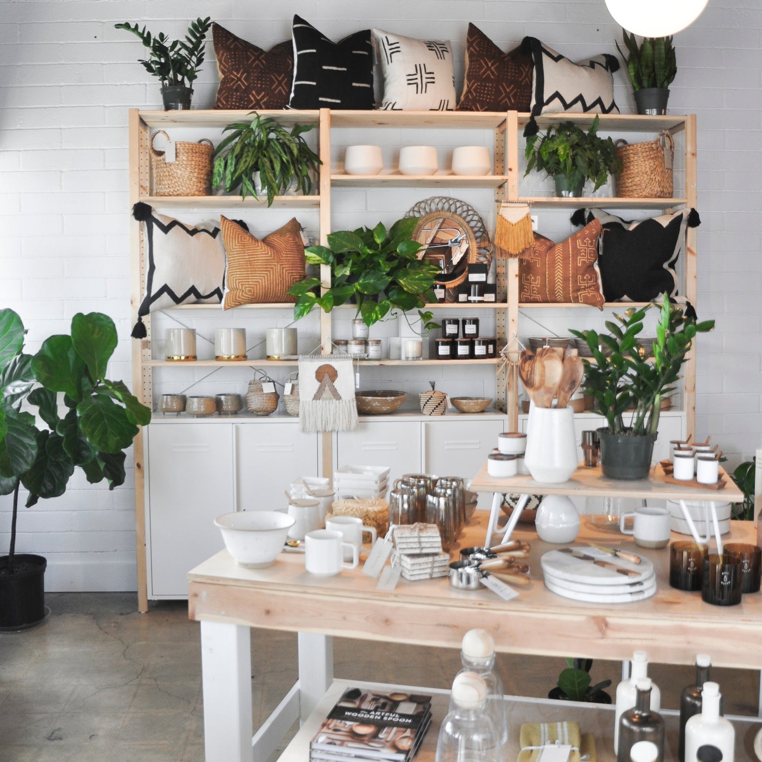 home + hound cat product catenary home and hound store in san diego