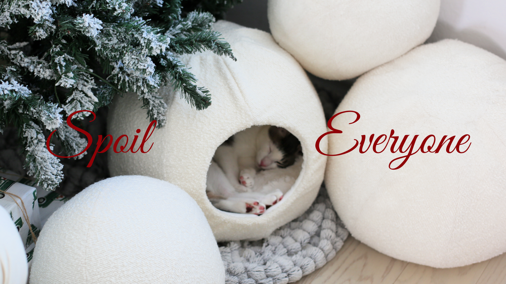 White cat in a cozy spherical pet bed with text 'Spoil Everyone' near a decorated Christmas tree.