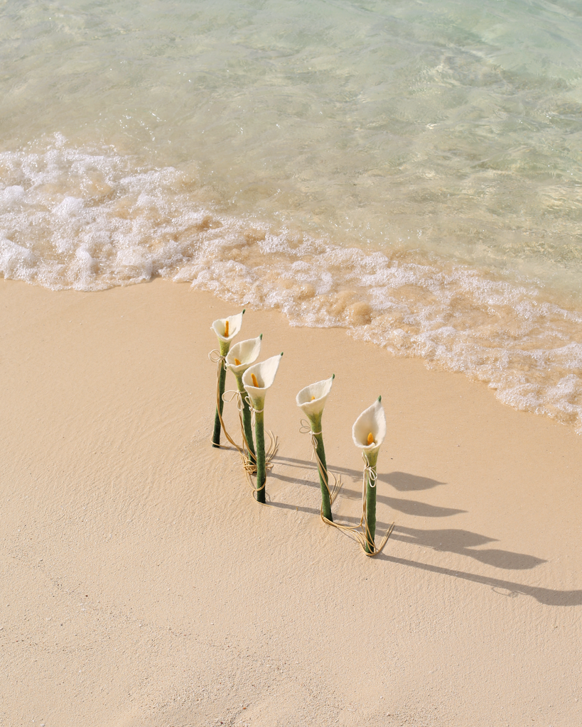 Elegant Catenary Home cat teaser wands resembling calla lilies arranged on a sandy beach with gentle waves. These handcrafted cat wand toys are part of Catenary Home's aesthetic cat furniture collection, making them perfect gifts for cat lovers, cat owners, and gifts for cats. Blending nature-inspired design with modern cat furniture, these toys provide an engaging play experience for cats.